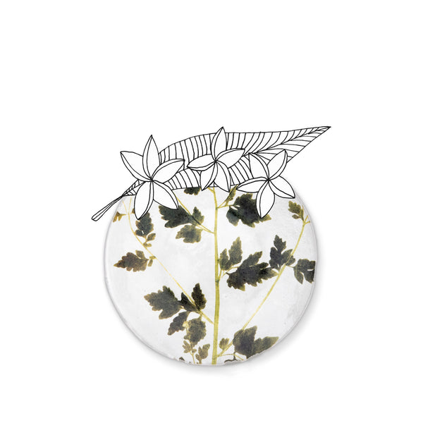 Summerill & Bishop Matricaria Leaf Plate By Astier De Villatte 24cm