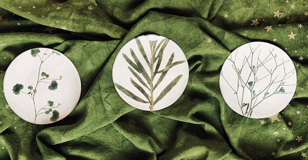 Summerill & Bishop Matricaria Leaf Plate By Astier De Villatte 24cm