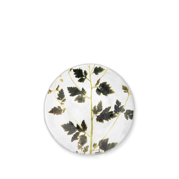 summerill & bishop Matricaria Leaf Plate by Astier de Villatte 24cm