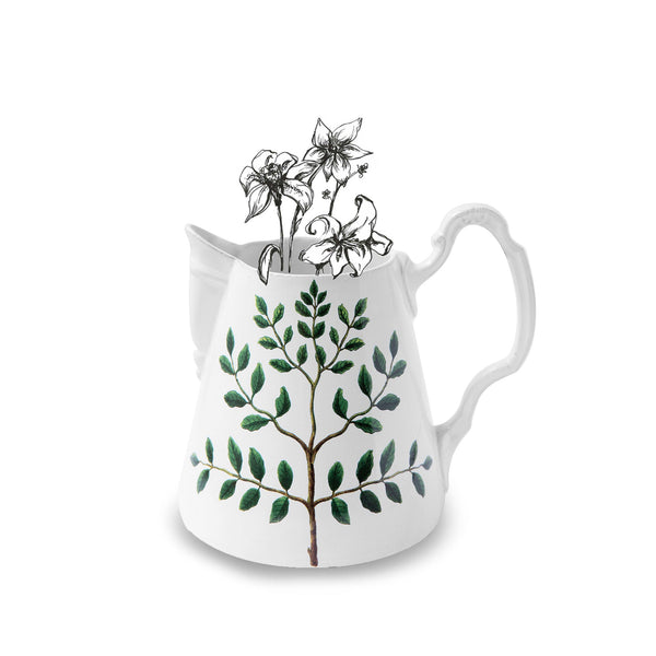Summerill & Bishop Medium Indigofera Colutea Pitcher By Astier De Villatte 21cm