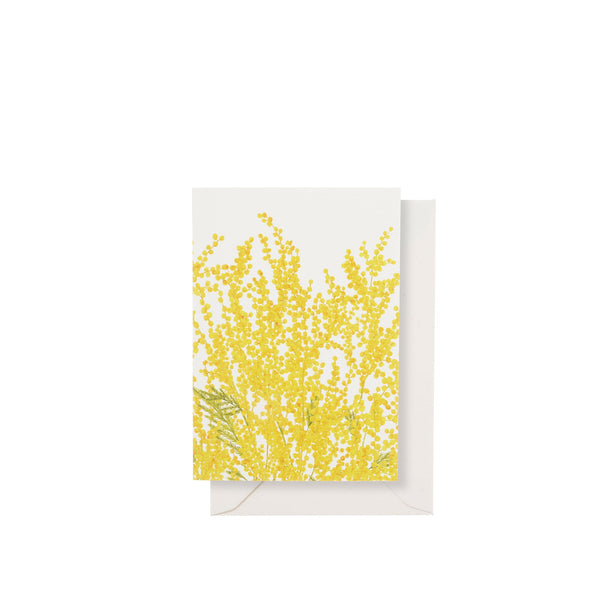 summerill & bishop 'Mimosa' Greeting Card 15cm x 10cm (A6)