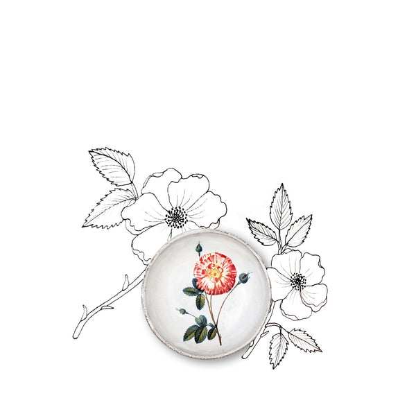 Summerill & Bishop Panachée Rose Dish By Astier De Villatte 11cm