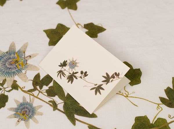 Summerill & Bishop 'Passiflora' Greeting Card 15cm X 10cm (A6)