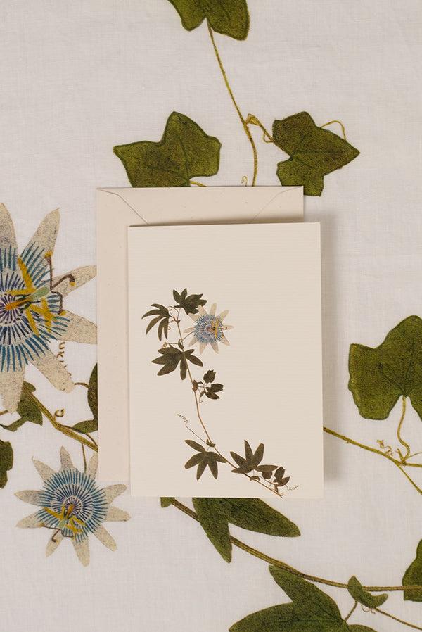 Summerill & Bishop 'Passiflora' Greeting Card 15cm X 10cm (A6)