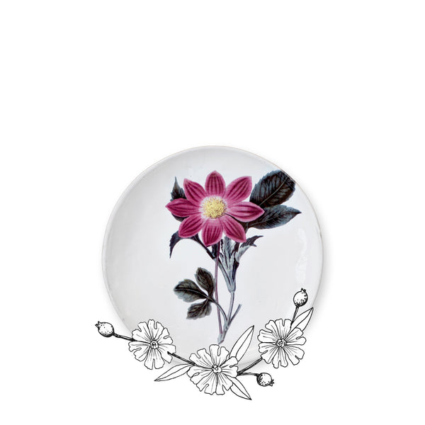 Summerill & Bishop Pink Flower Plate By Astier De Villatte 26cm