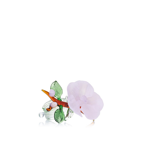 summerill & bishop S&B x Casarialto 'Blossom in Full Bloom' Handblown Glass Napkin Ring