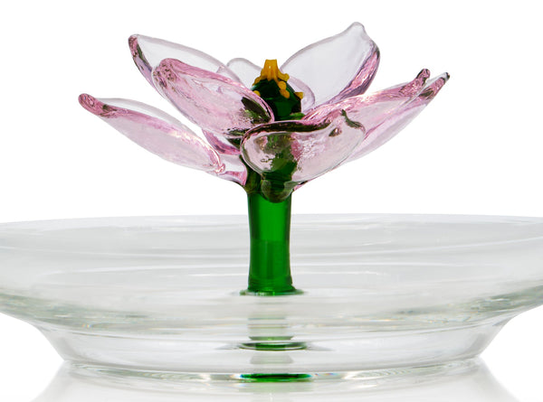 Summerill & Bishop S&B X Casarialto: Handblown Murano Glass Lotus Teapot In Pink