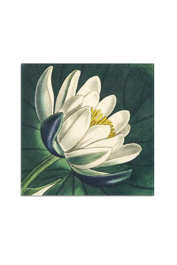 Summerill & Bishop S&B X John Derian 'Water Lily' Linen Napkin 50x50cm