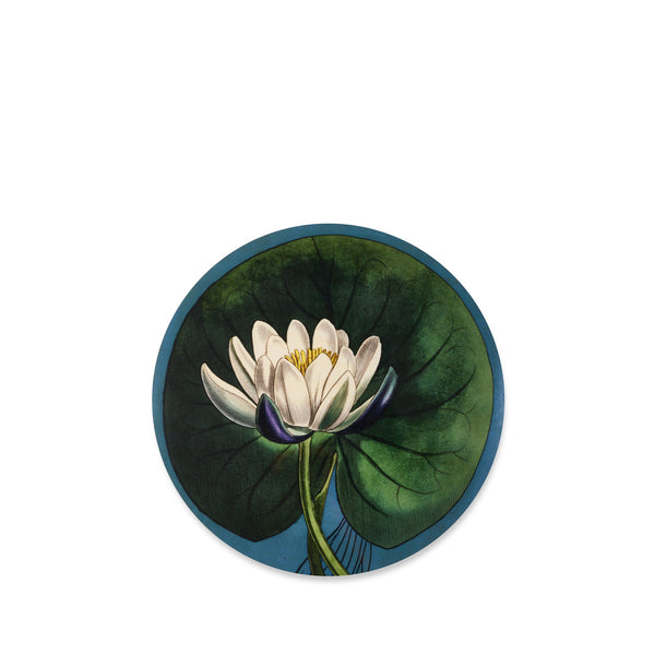 summerill & bishop S&B x John Derian 'Water Lily' Round Cork-Backed Placemat 34cm