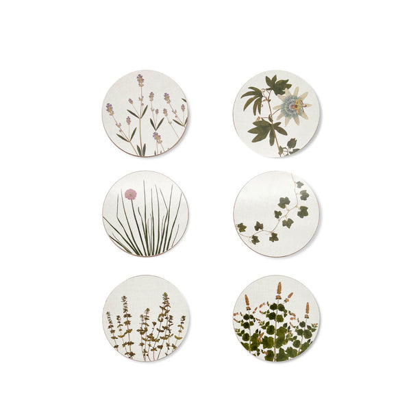 summerill & bishop Set of 6 Herbarium Cork-Backed Coasters