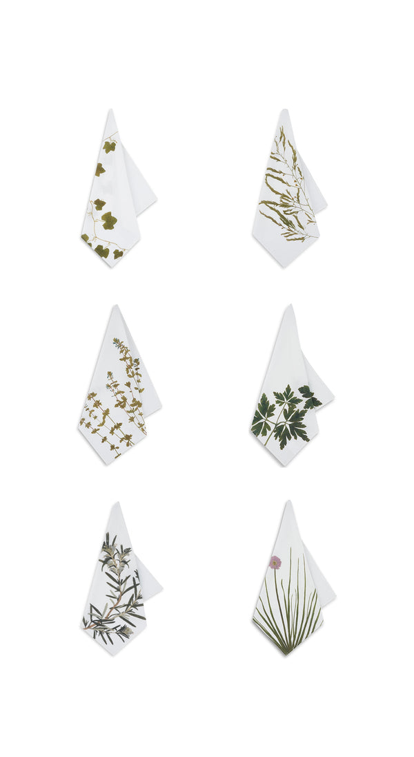 summerill & bishop Set of Six 'Gastronomic' Herb Linen Napkins 50x50cm