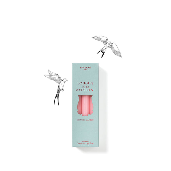 Summerill & Bishop Set Of Six Madeleine Candles In Pink 20cm