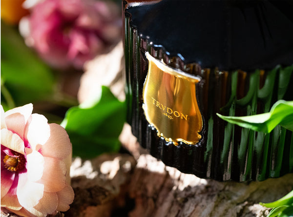 Summerill & Bishop 'Ernesto' Diffuser By Trudon 350ml