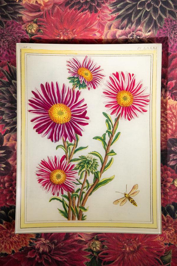 Summerill & Bishop John Derian 'Asters' Tray 25 X 33cm
