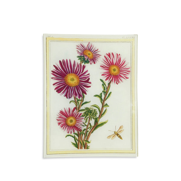 summerill & bishop John Derian 'Asters' Tray 25 x 33cm