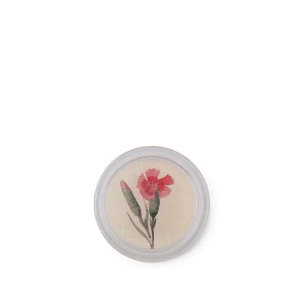 summerill & bishop John Derian 'Dianthus' Coaster 10cm