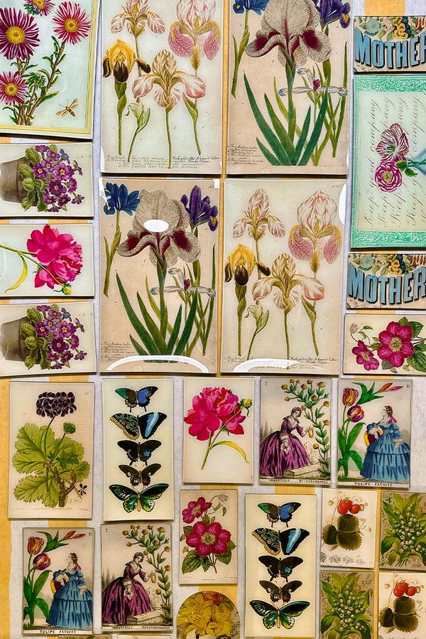 Summerill & Bishop John Derian 'Malva' Desk Cup 10cm