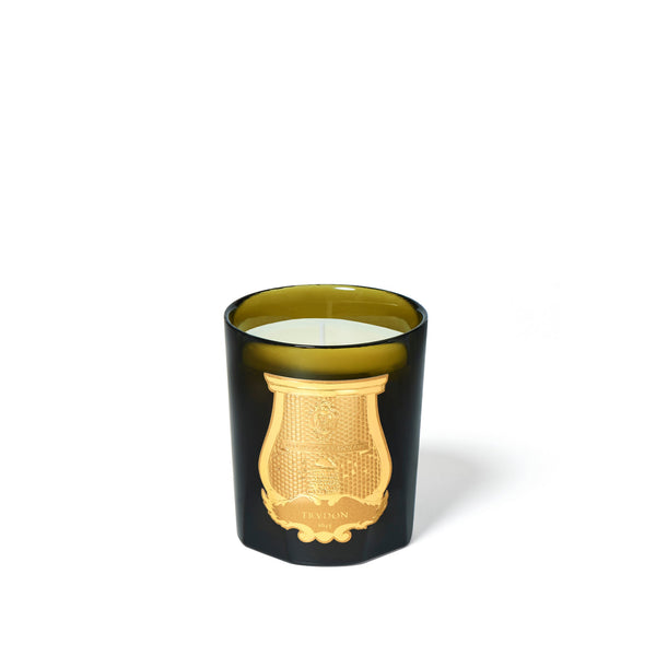 summerill & bishop 'Solis Rex' Candle by Trudon 270g