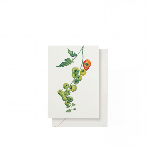 summerill & bishop Tomato 'Verte' Greeting Card 15cm x 10cm (A6) summerill & bishop Tomato 'Verte' Greeting Card 15cm x 10cm (A6)
