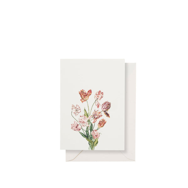 summerill & bishop 'Tulip' Greeting Card 15cm x 10cm (A6)