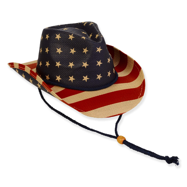 sun n sand Kid's Hats | Young Boy | Multi Paper Straw Western Brim 3