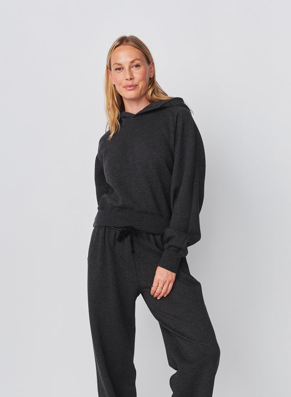 Sundry Sundry Cropped Hoodie In Washed Black