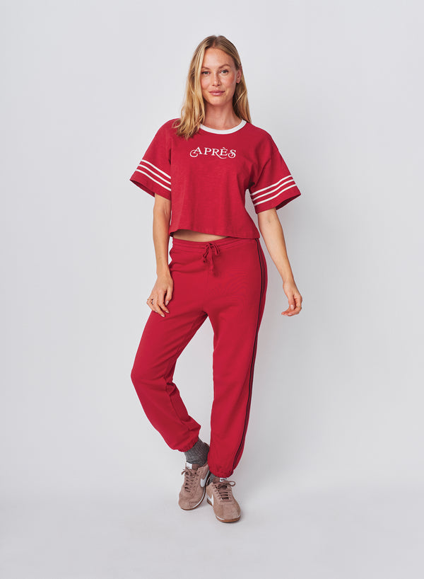 Sundry Sundry Sweatpant With Side Stripe In Vintage Red