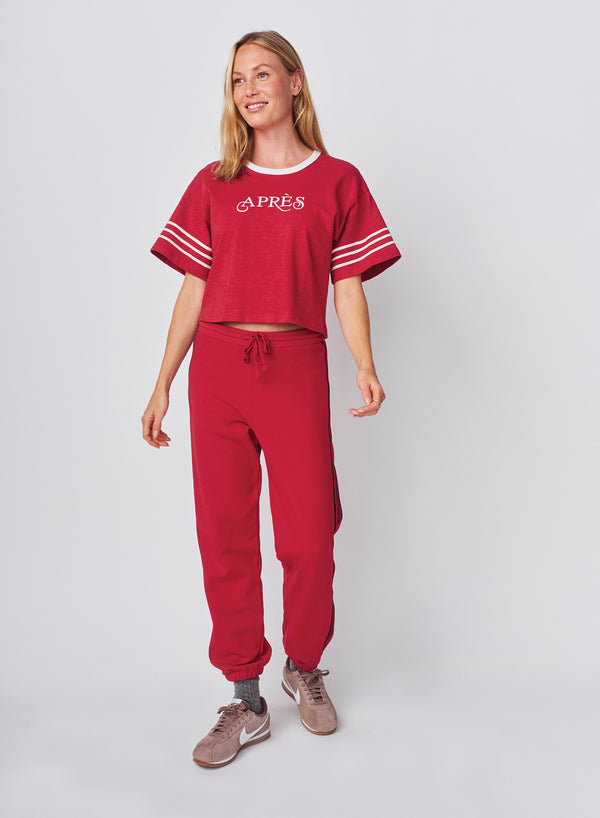 Sundry Sundry Sweatpant With Side Stripe In Vintage Red