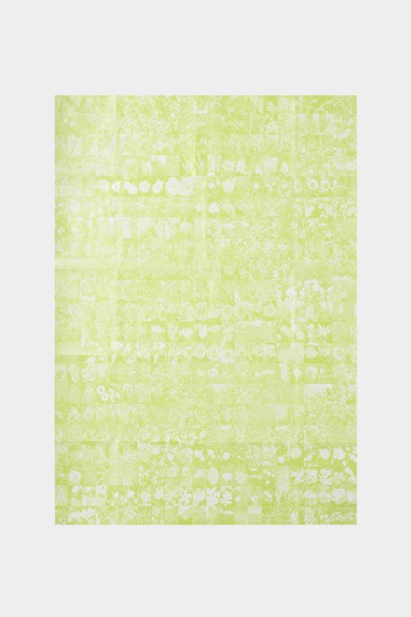 Sunnei ACUBA JAPONICA - TUTTIFIORI.RAR BOOK