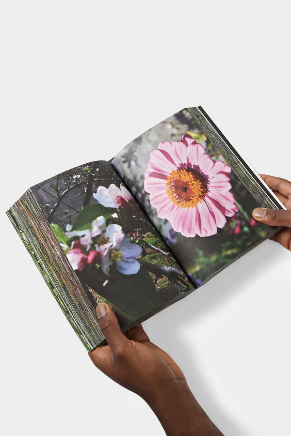 Sunnei ACUBA JAPONICA - TUTTIFIORI.RAR BOOK