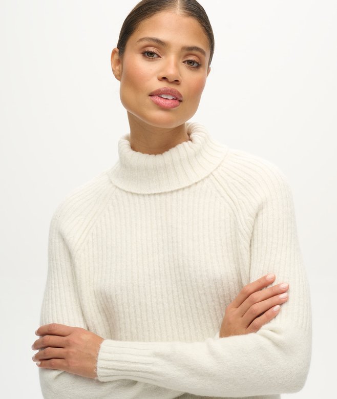 Superdry Essential Rib Knit Rollneck Jumper