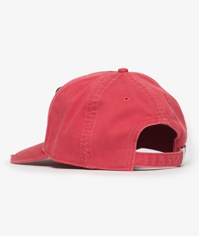 Superdry Graphic Trucker Cap