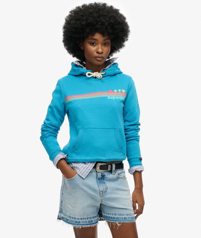 superdry Rainbow Stripe Hoodie