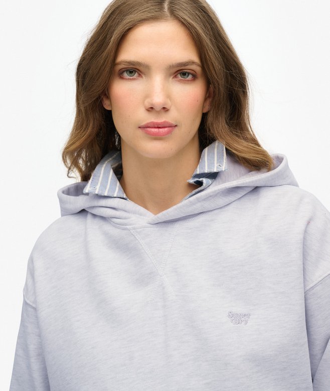 Superdry Studios Hoodie