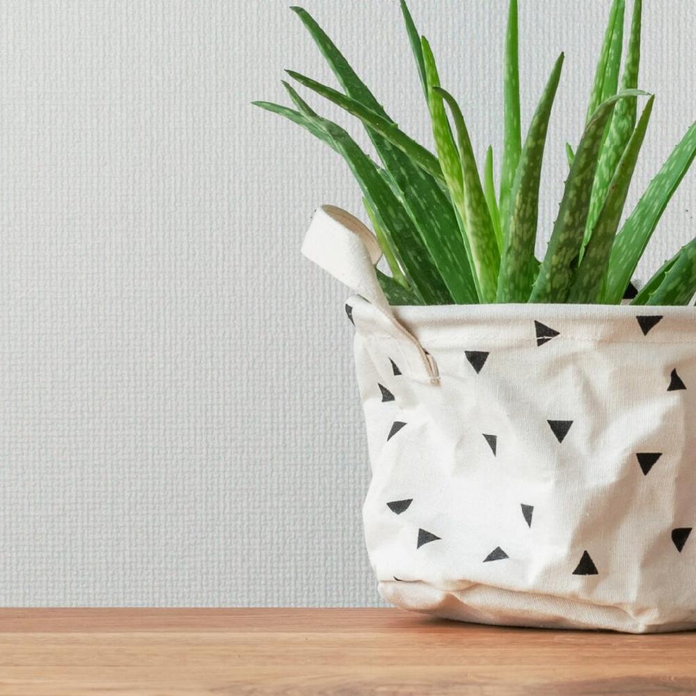 superfresco easy Louis