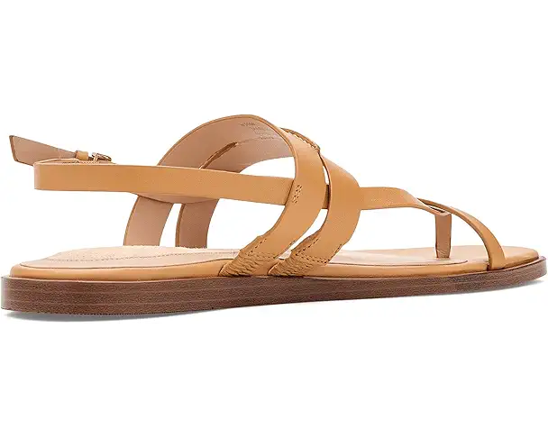 Supply Lab Cole Haan Go-to Estella Flat Thong Women's Biscuit