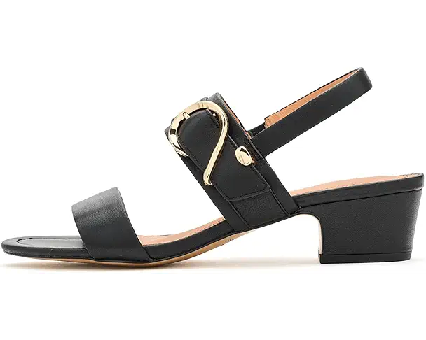 Supply Lab Andre Assous Patresa Women's Black