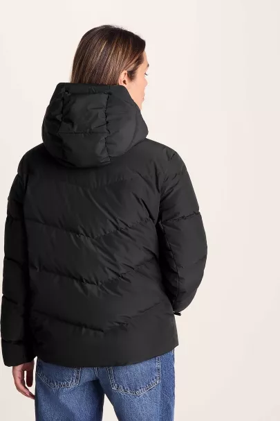 Surfanic Tog24 Raleigh Luxe Short Rds Down Jacket