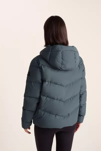 Surfanic Tog24 Raleigh Luxe Short Rds Down Jacket