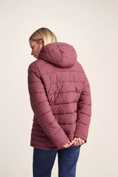 Surfanic Tog24 Sleight Padded Short Parka