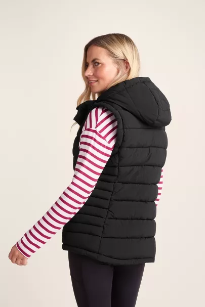 Surfanic Tog24 Wyness Padded Gilet