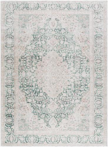 surya Rugs All Amelie AML-2393