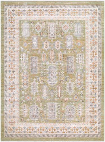 surya Rugs All Amir AMR-2301
