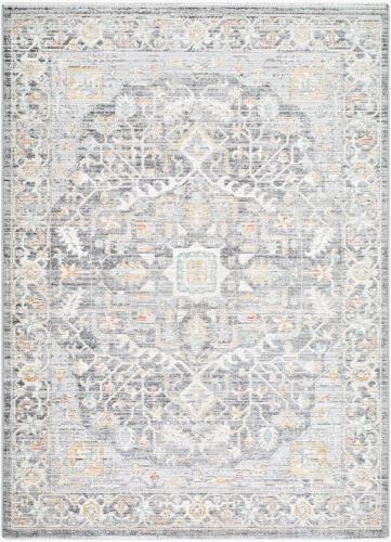 surya Rugs All Amir AMR-2303