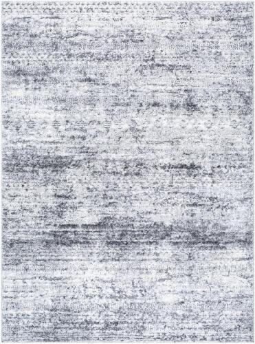 surya Rugs All Andorra Plus ARP-2311
