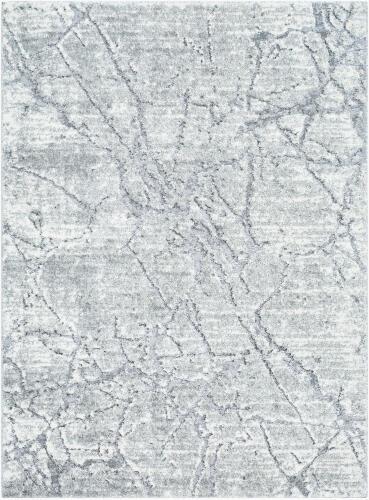 surya Rugs All Andorra Plus ARP-2313