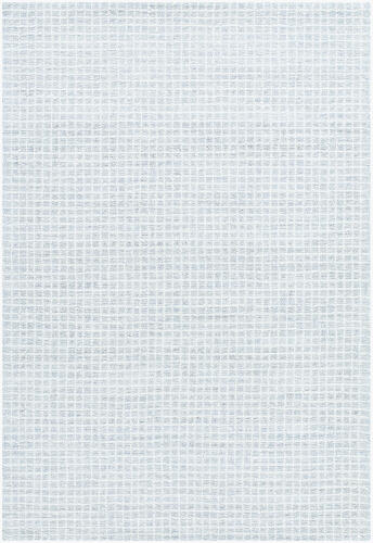 surya Rugs All Andreas VVAN-2301