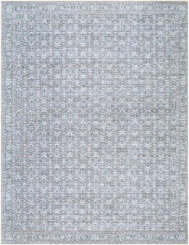 surya Rugs All Aureta BOAU-2301