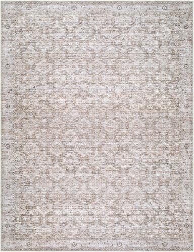 surya Rugs All Aureta BOAU-2302