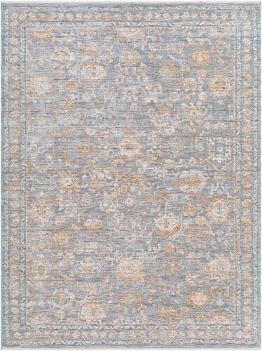 surya Rugs All Chapel Hill CHP-2302